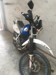 江门出售精神DR250