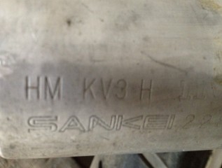 广州花都出只NSR干离3仔.