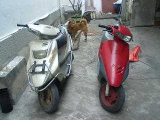 佛山南海出售2部DIO···１部YAMAHA风帆