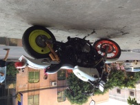 马格纳250，马格纳750，CBR19