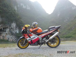 ┃┃┃┃┃┃┃┃┃┃┃┃┃┃差债主钱，贱卖22