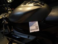 中山出11款变异大黄蜂和07R6