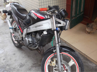 T仔换福喜 信黄黄英