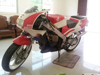 出售精神PGM-2，以出售感谢绿茵直播