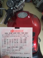 出售02年大黄蜂919