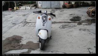 广州白云区3500出售水冷小龟