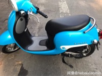 本田小龟王77期