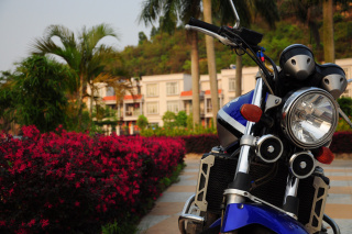 已被湛江车友爽快秒杀，祝一路顺风，感谢绿茵直播，感谢关注的车友