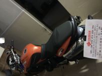 一手水10年凯旋675 青蛙王子