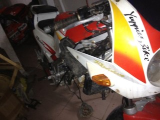 东莞出售FZR250小骨版尸体~