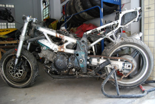 广州出售铃木大排1000 尸体   7888元