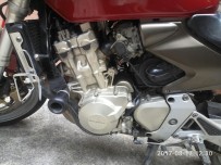 佛山顺德代友出06黄蜂600