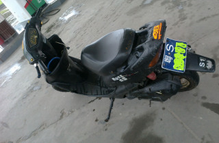 重售暴力小棉羊尸体价