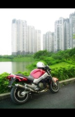 广州年底吐血价出售裸鸟23888 只限一个星期