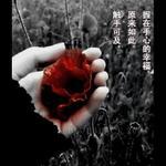 增城市转让飞鹰RSZ8888