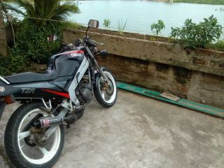 代友出售顺德均安出售两台收藏级有X牌证精神TZR125