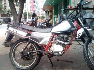 广东省清远市清城区出售93年大白菜2500