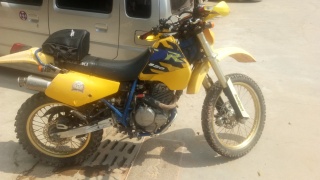 售台经典扒鸡--DR250S