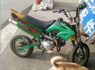 佛山市禅城出售精神小爬鸡