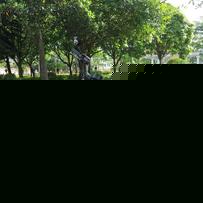 云浮新兴春风狒狒CF125六档车