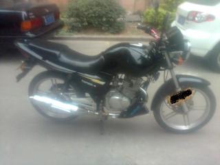 江门地区出售铃本0停售！！