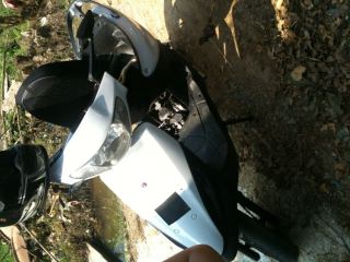 增城6500出售66拉600 4V福喜