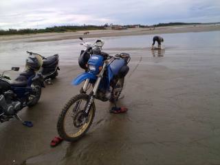 转让神兽KLX300一台。