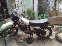 顺德出售嘉陵越野白菜尸体价