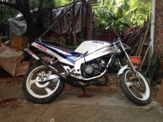 佛山三水出售台TZR125