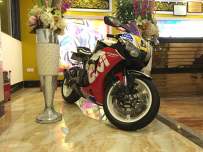 08年 鹦鹉 大套出售 接小刀