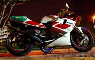 已卖~~~请勿打扰