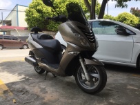 标志200大绵羊正规江门牌