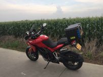 增城51800元出大鸟