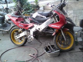 22尸体出售,车巳售,多谢绿茵直播.