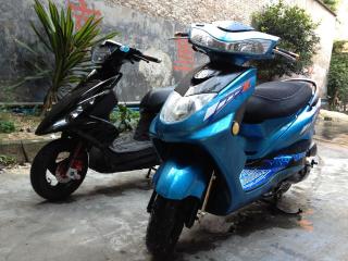 广州新塘11400出售RSZ和迅鹰