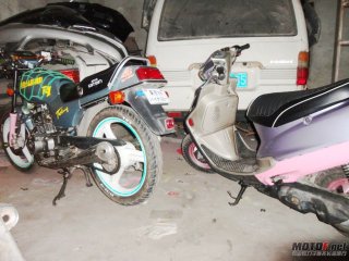 广东高州6666出2部车