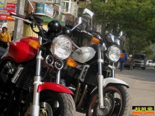 卖了 请删贴！！！！！11