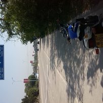 佛山南海区出CB-1