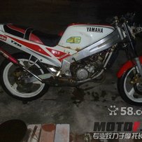 暂时不放，有事去外地，，，谢谢