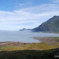 已售！已售！已售！