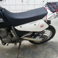 湛江出13年魔术师及04大眼