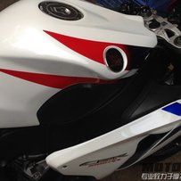 广州花都出售一水鹦鹉08CBR1000RR