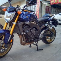 惠州龙门   出售FZ1N