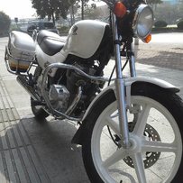 佛山黄岐[7800]精神夜鹰250