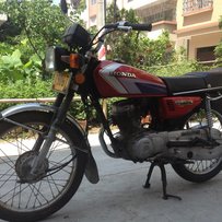 出售闲置银猫一只