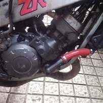 出售精神t仔一部