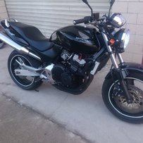 韶关出售水水精神小黄蜂