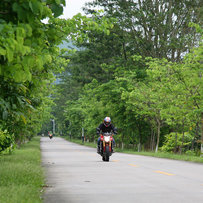 新塘出，FZ1，原版原漆，45000