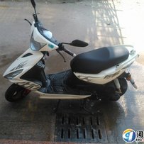 广东河源忍痛割爱出售飞鹰RSZ