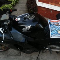 已经修复，添加报纸，广州出自家养05黑鸟一台